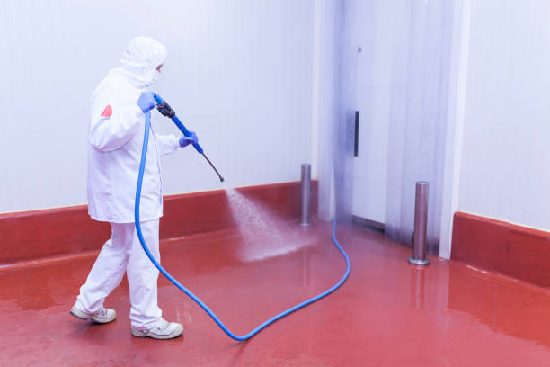 Best Spring Cleaning  in Kirby, TX